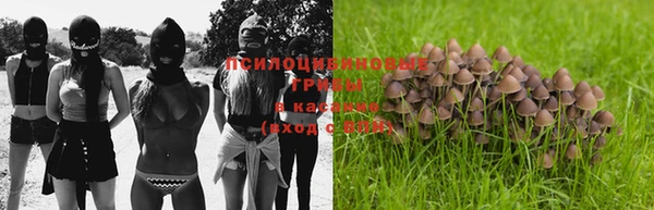 первитин Снежинск