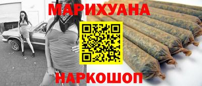 шишки Дубна