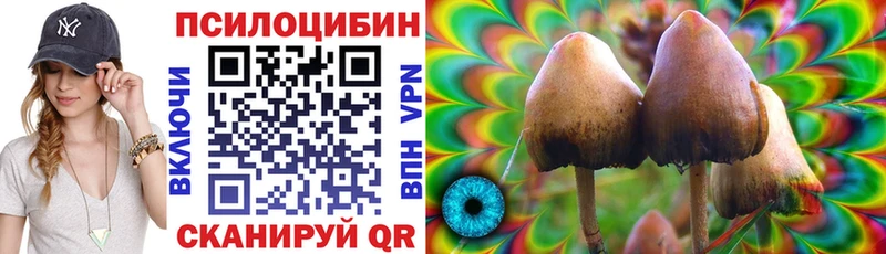 блэк спрут вход  Оренбург  Галлюциногенные грибы GOLDEN TEACHER  закладки 