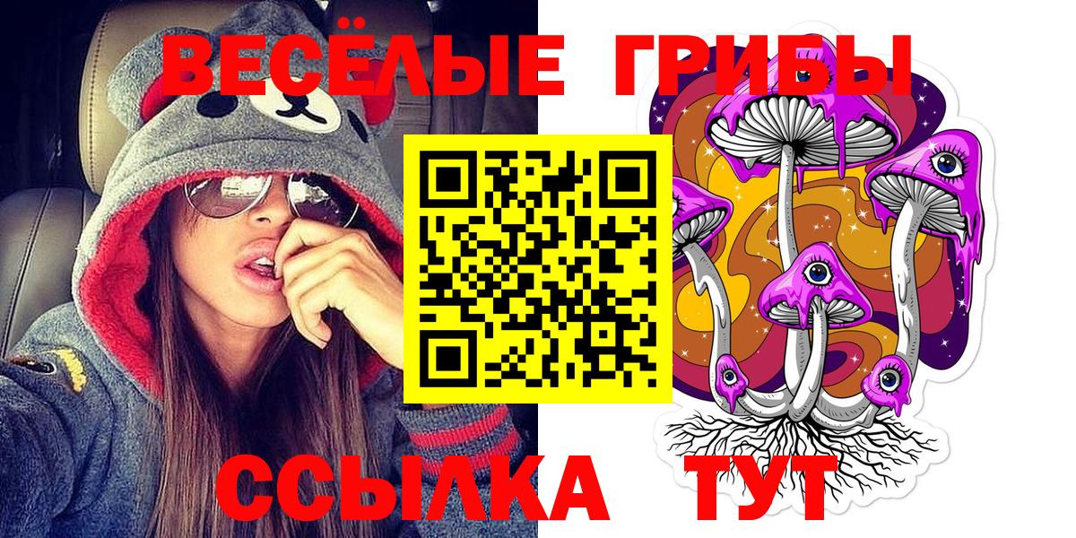 Псилоцибиновые грибы Psilocybe  Вход с VPN  Оренбург 