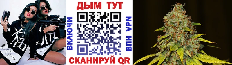 где можно купить наркотик  Оренбург  MEGA как зайти  Каннабис Amnesia 